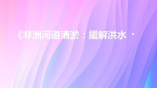 《非洲河道清淤：緩解洪水、提高生態(tài)保護(hù)》